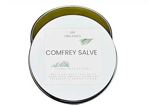 Serendipitous Summer Farms Healing Comfrey Recovery Salve. Eco Friendly Company. Natural Organic Balm for Skin, Sore Muscles, Post Surgery, Joint Pain