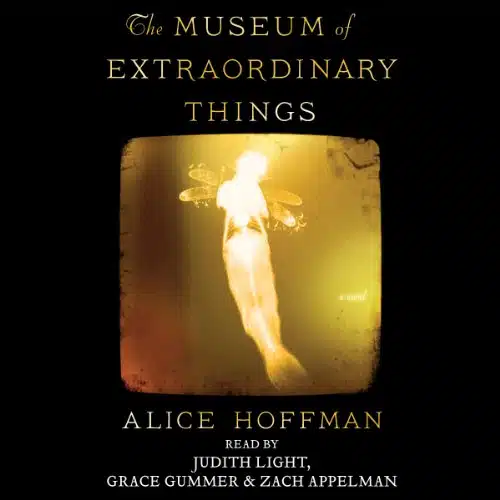 The Museum of Extraordinary Things A Novel